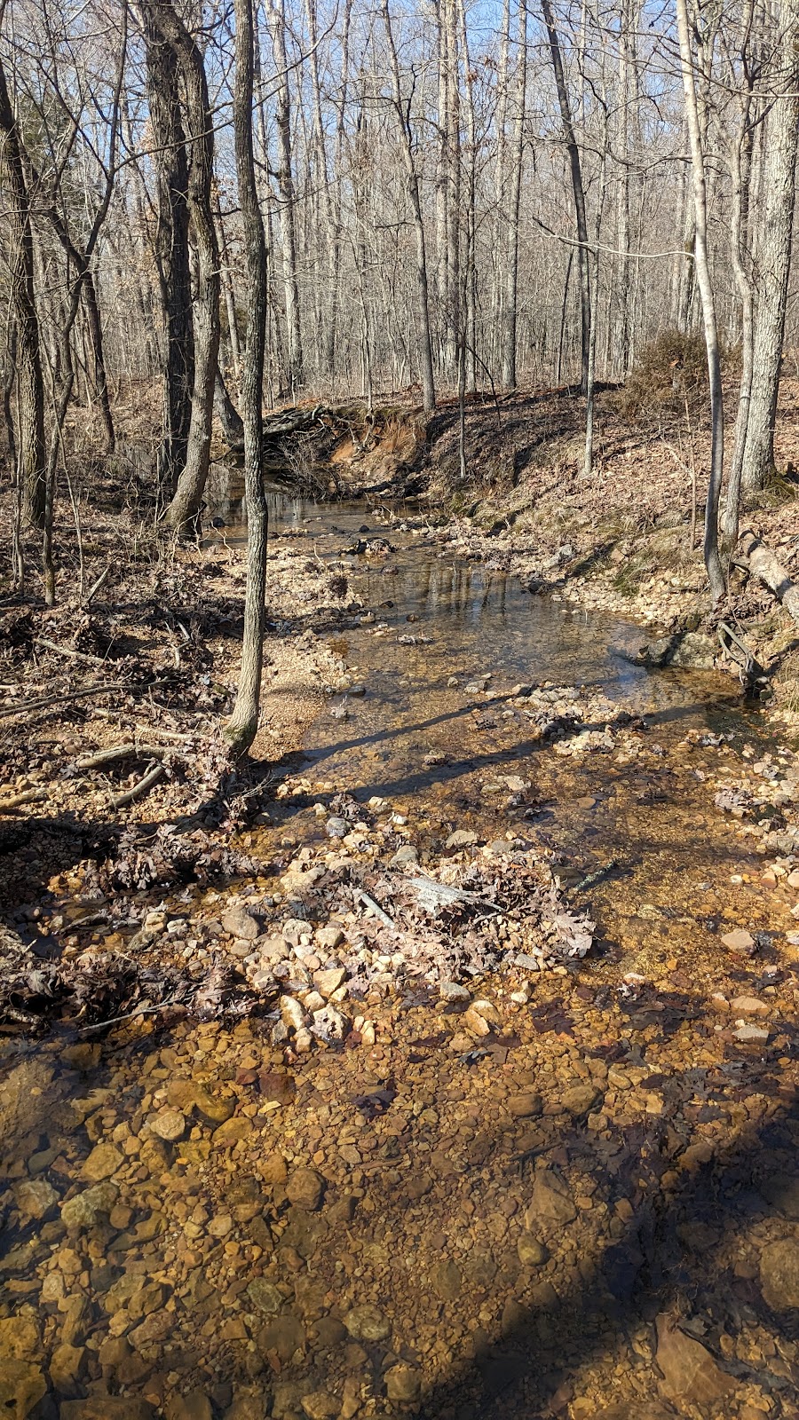 Wolf Creek Trail