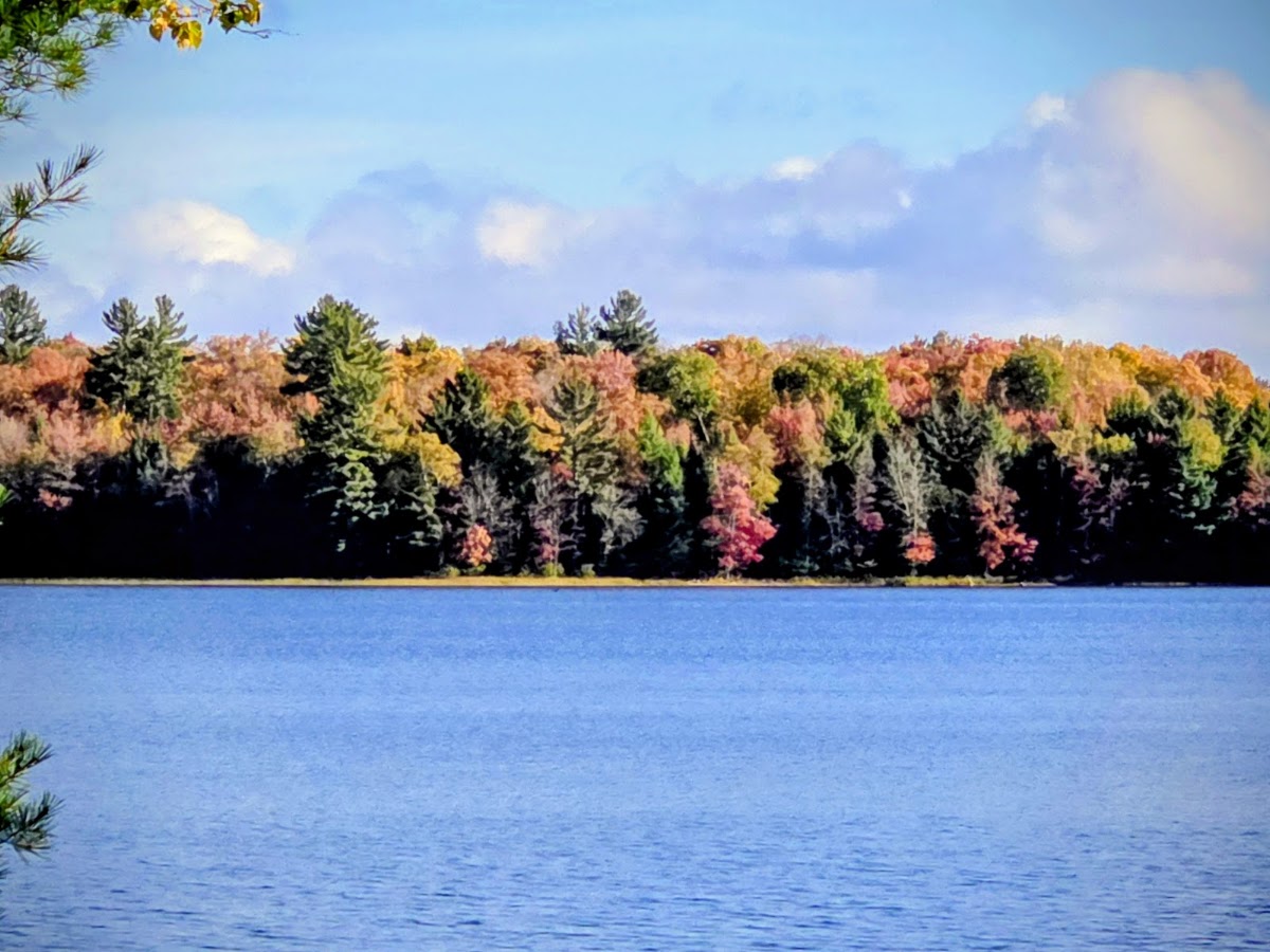 Lake Stella