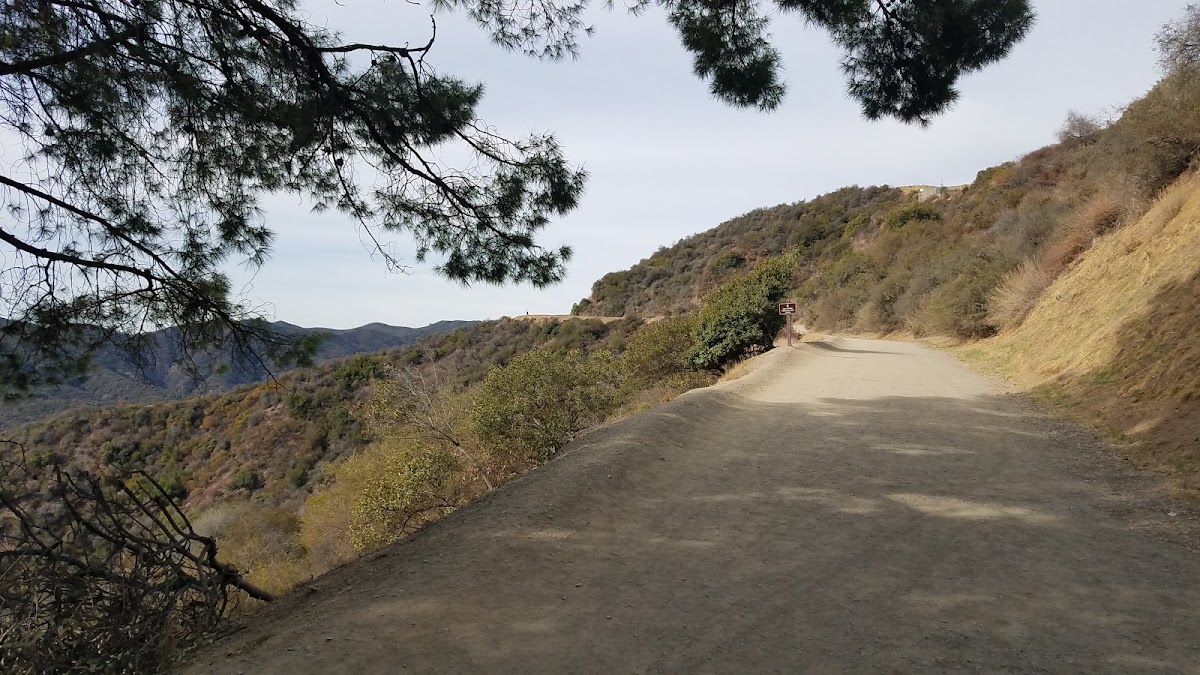 Sullivan Canyon