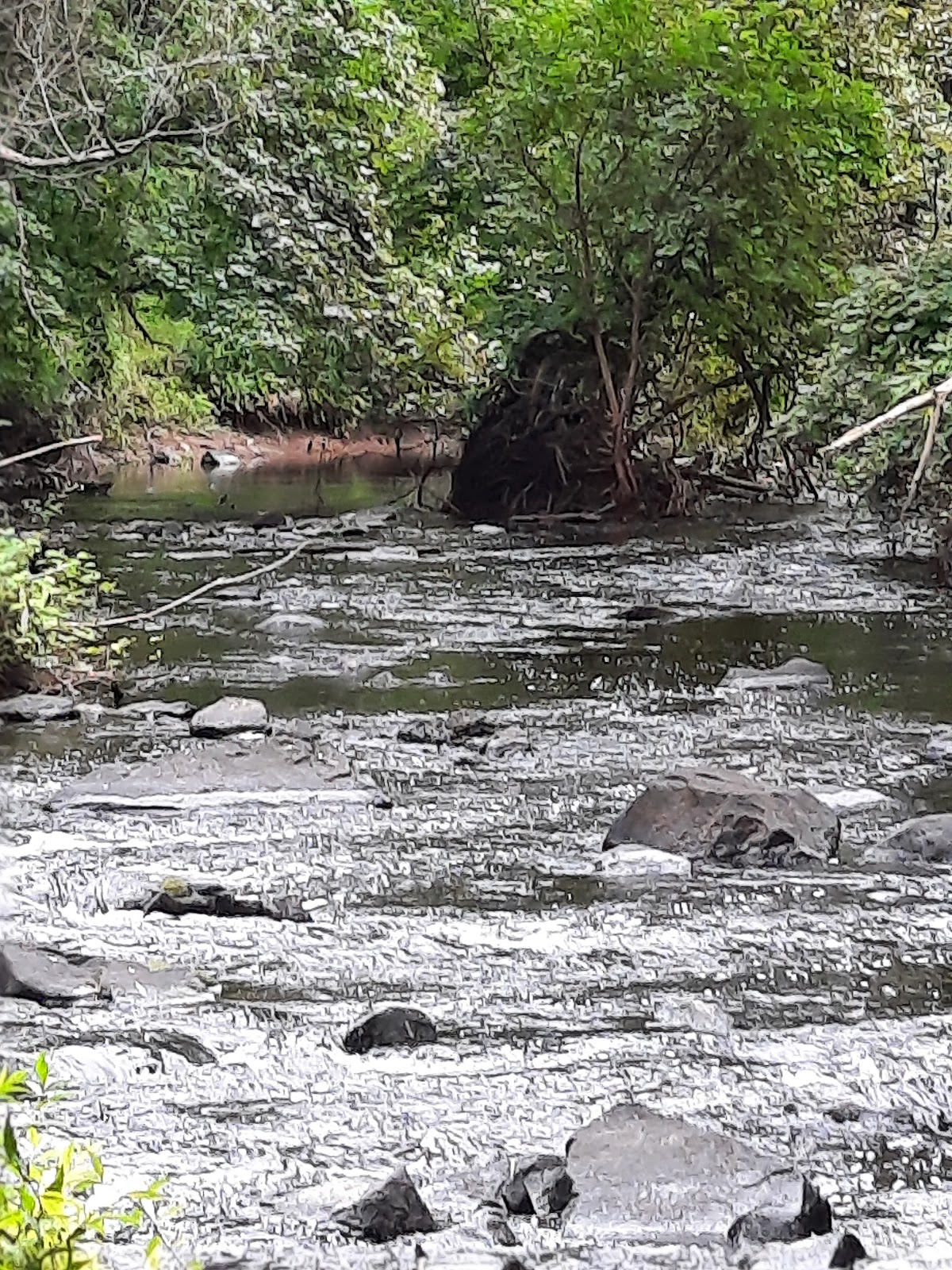 Ten Mile River