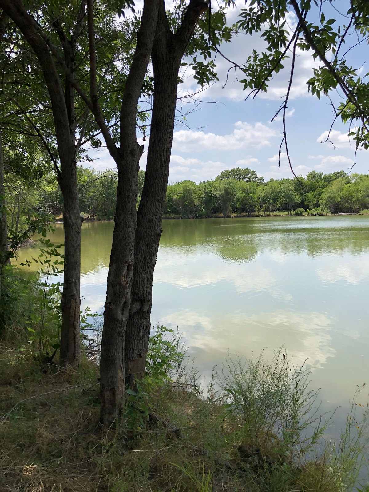 Addicks Reservoir