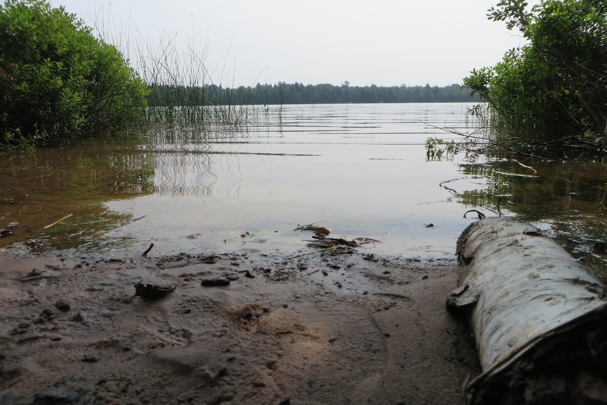 Crooked Lake