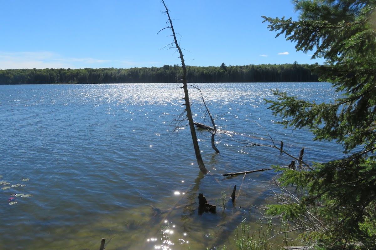 Byers Lake