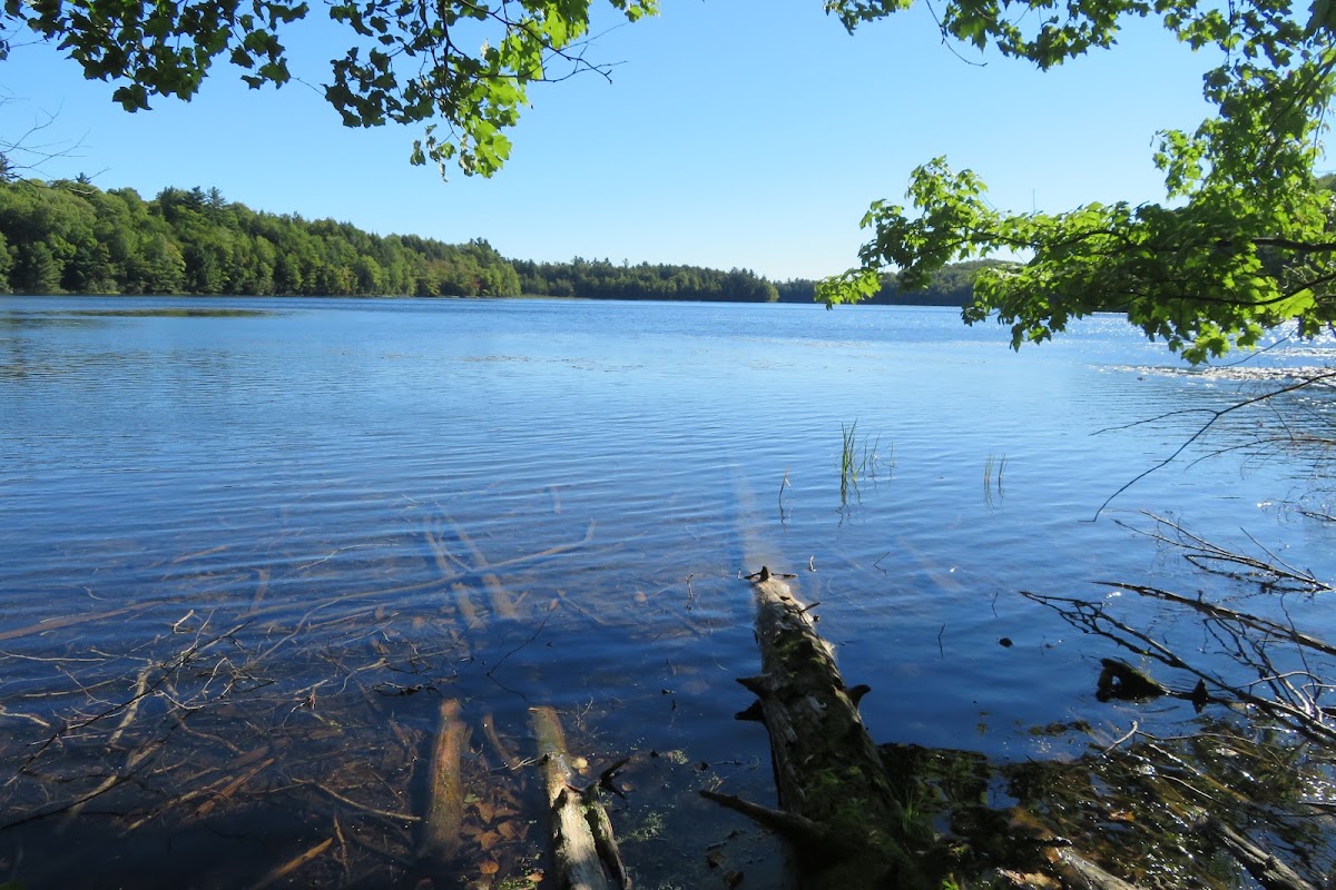 Skeels Lake
