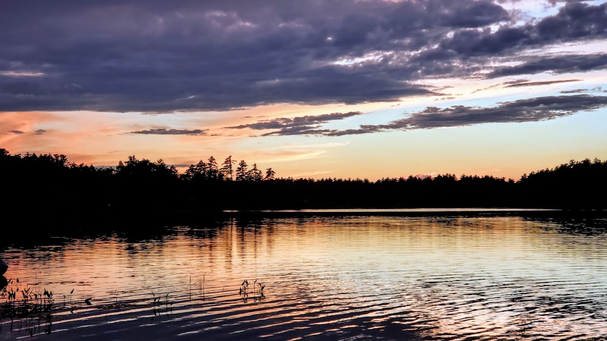 Country Pond