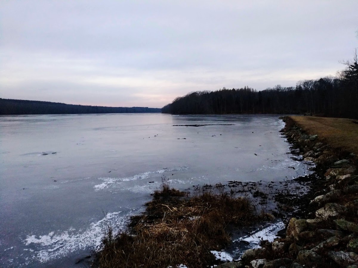 Pine Acres Lake