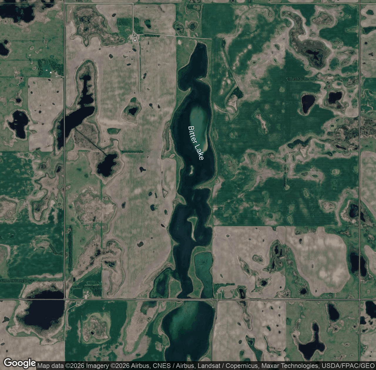 Bitter Lake