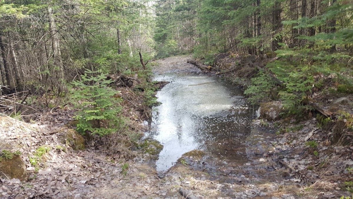 Laurentian Divide Recreation Area