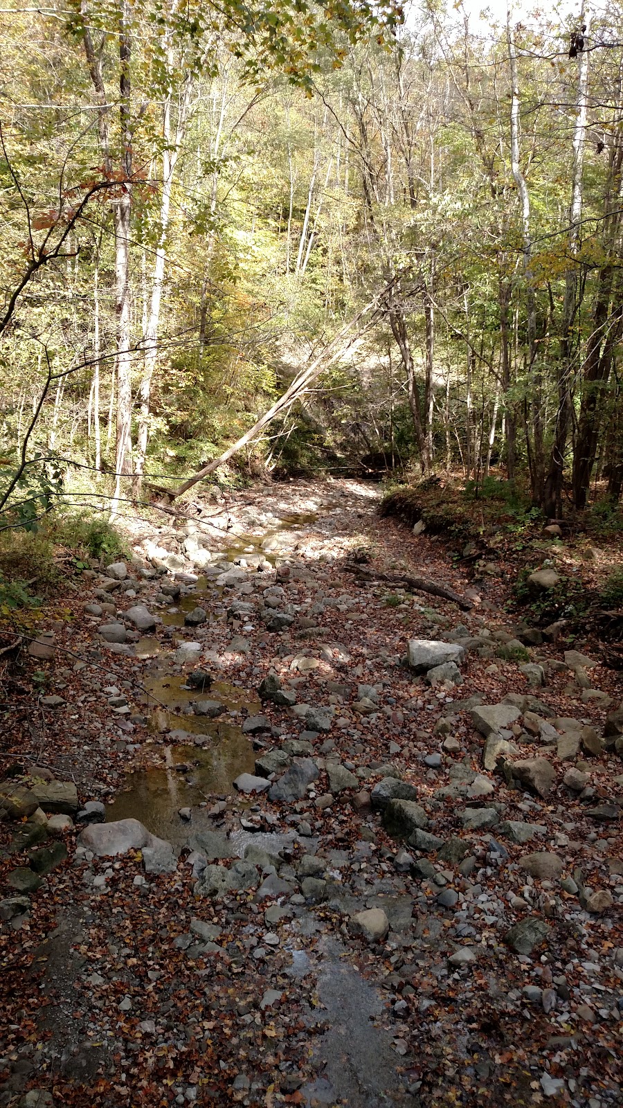 Everett Road
