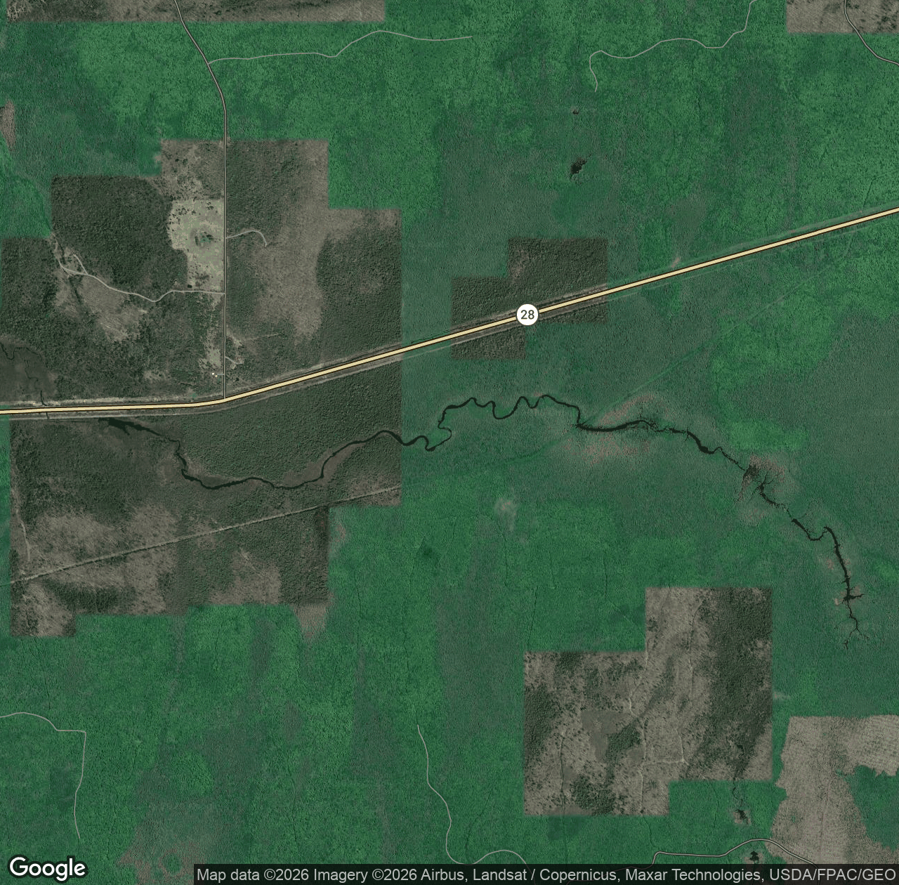 Warbler Creek