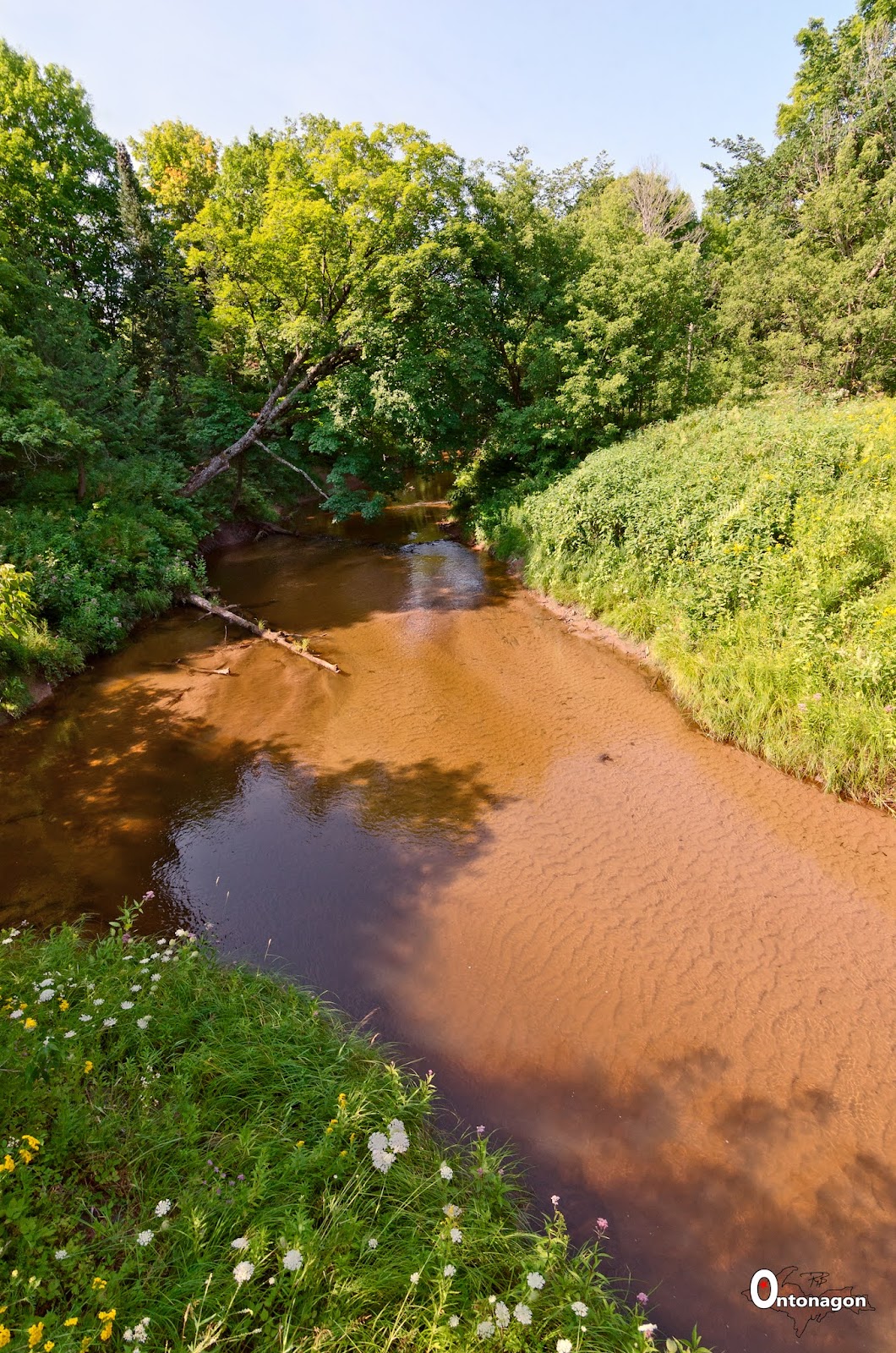Firesteel River