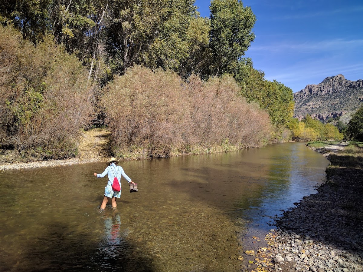 Turkey Creek Trail #155