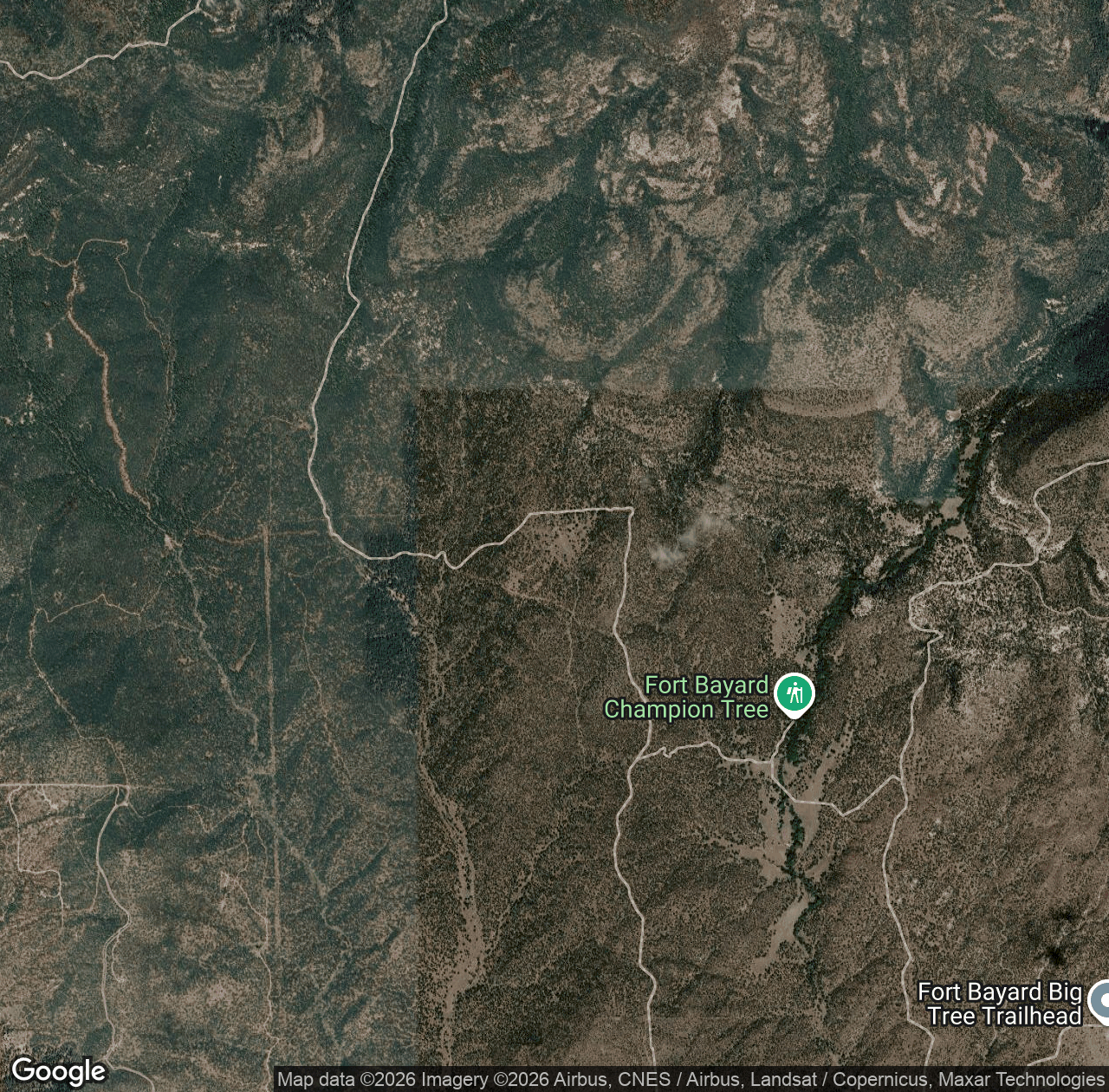 Sawmill Wagon Road Trail #243