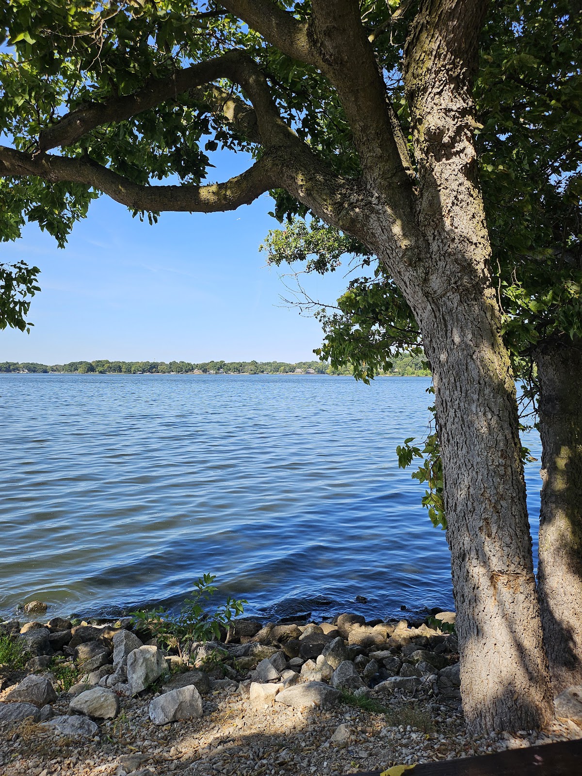 Lake Springfield