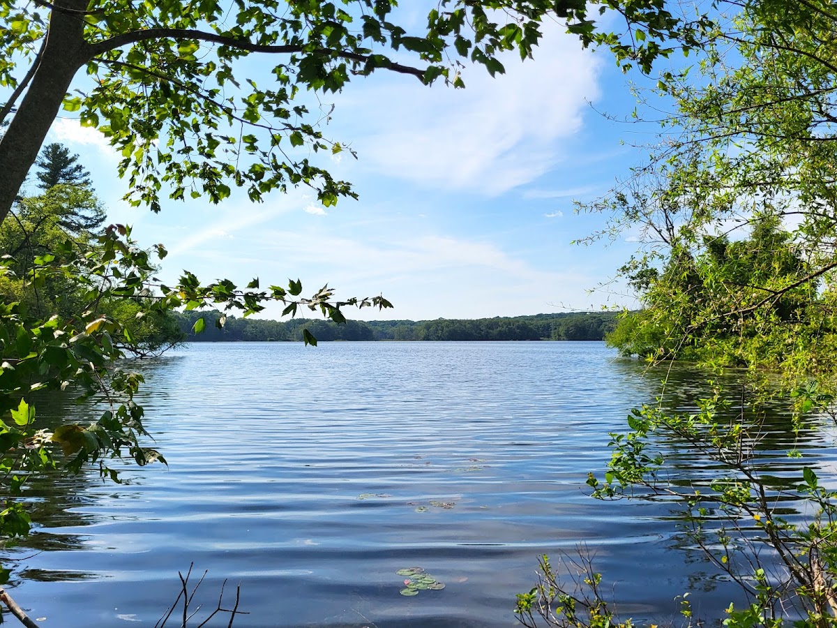 Sneech Pond