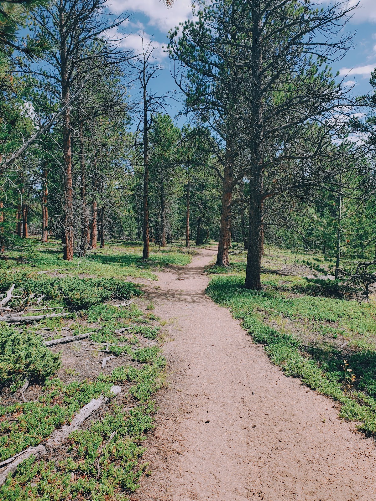 Balanced Rock Trail