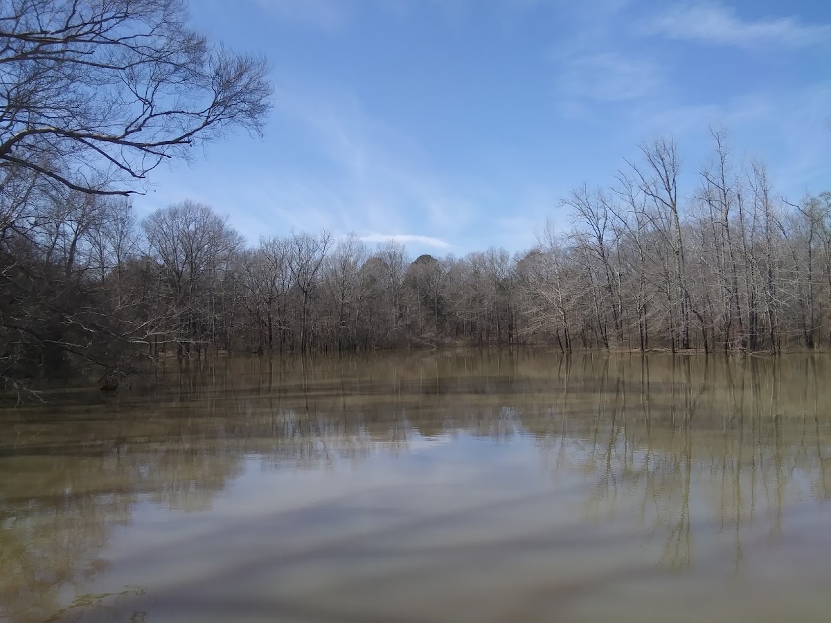 Beech River