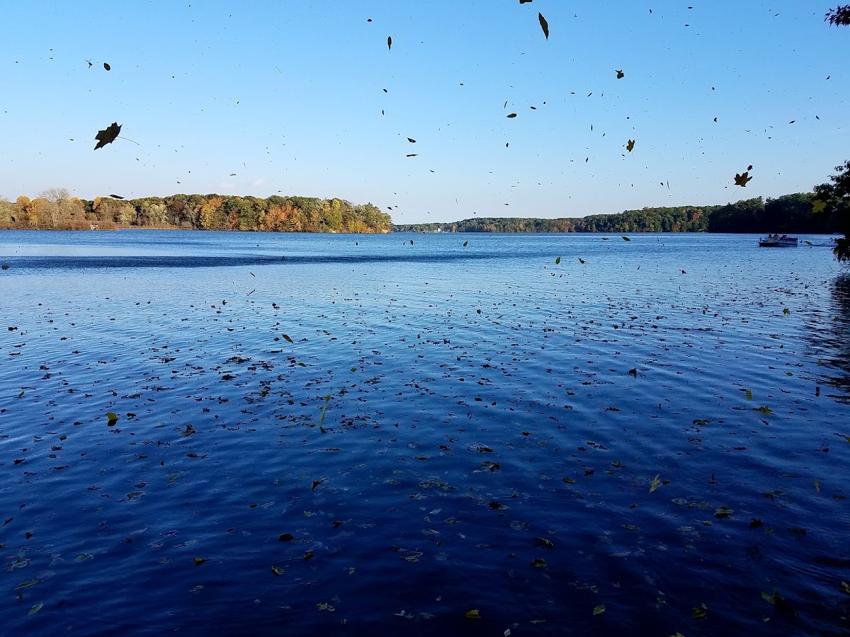 Lake Allegan