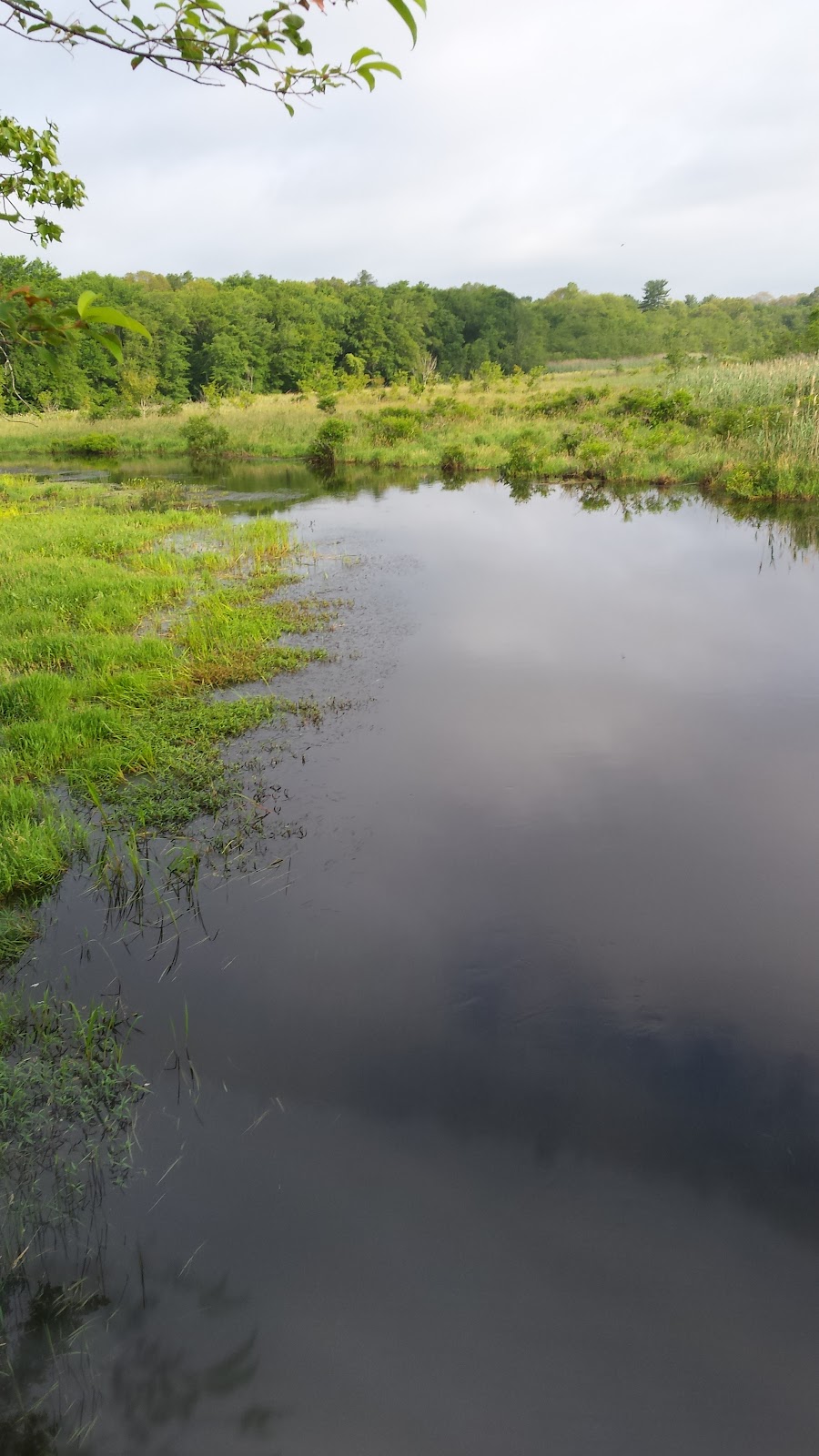 Assawompset Pond