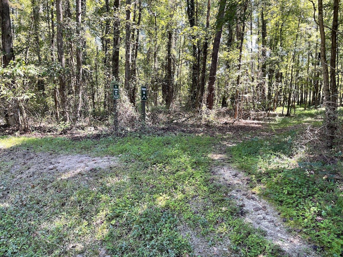 Palmetto Trail: Boyd Passage