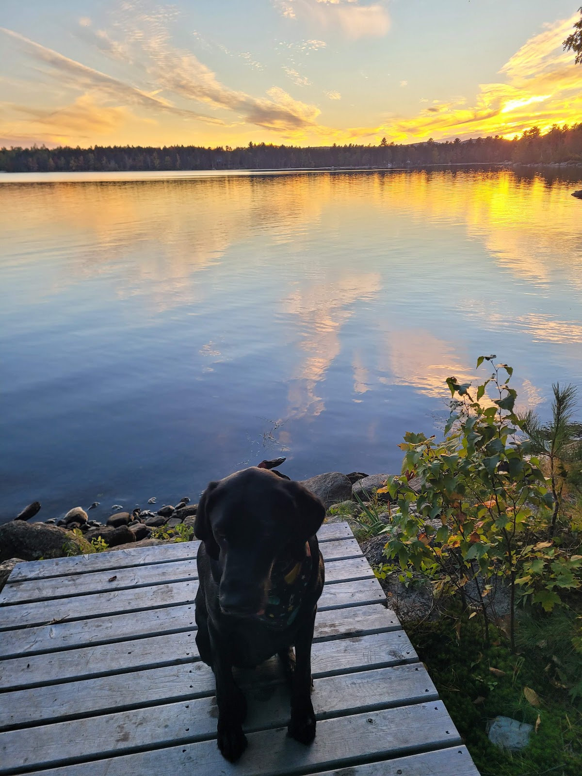 Junior Lake