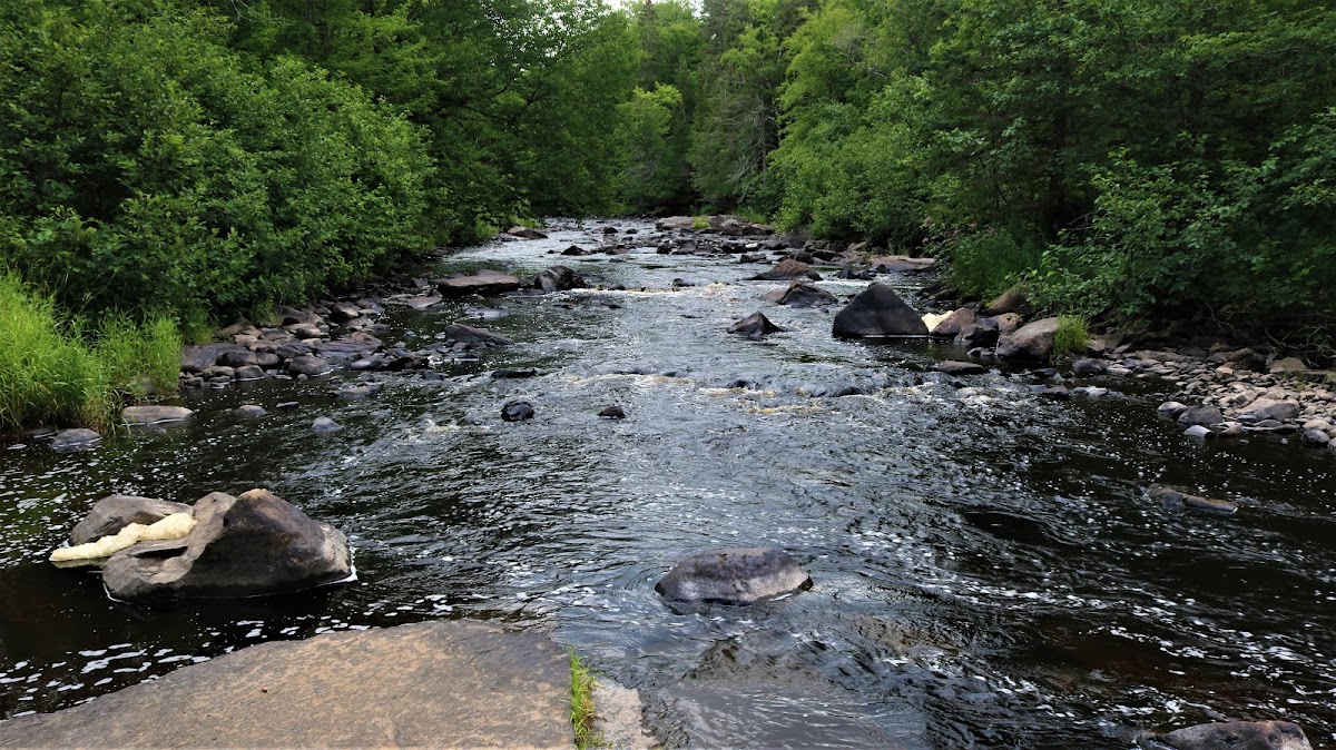 Sturgeon River