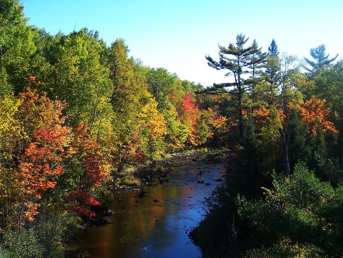 West Branch Ontonagon River