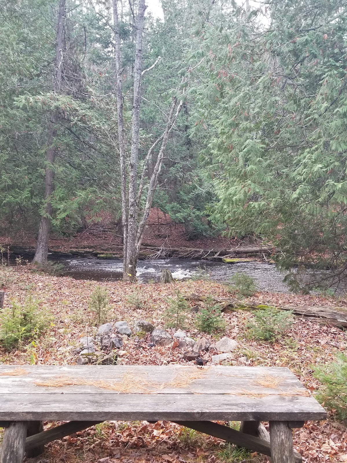West Branch Whitefish River