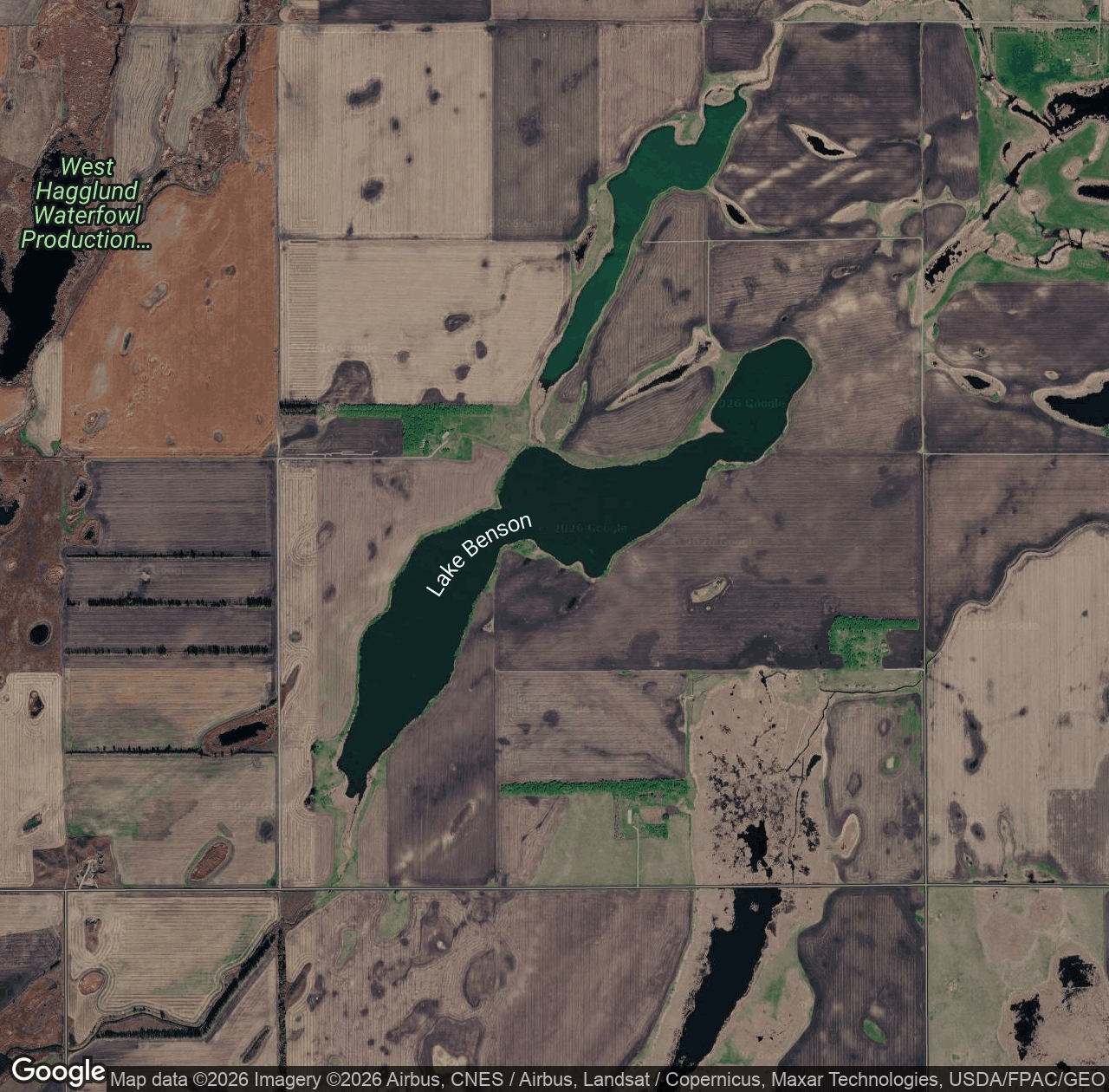 Lake Benson