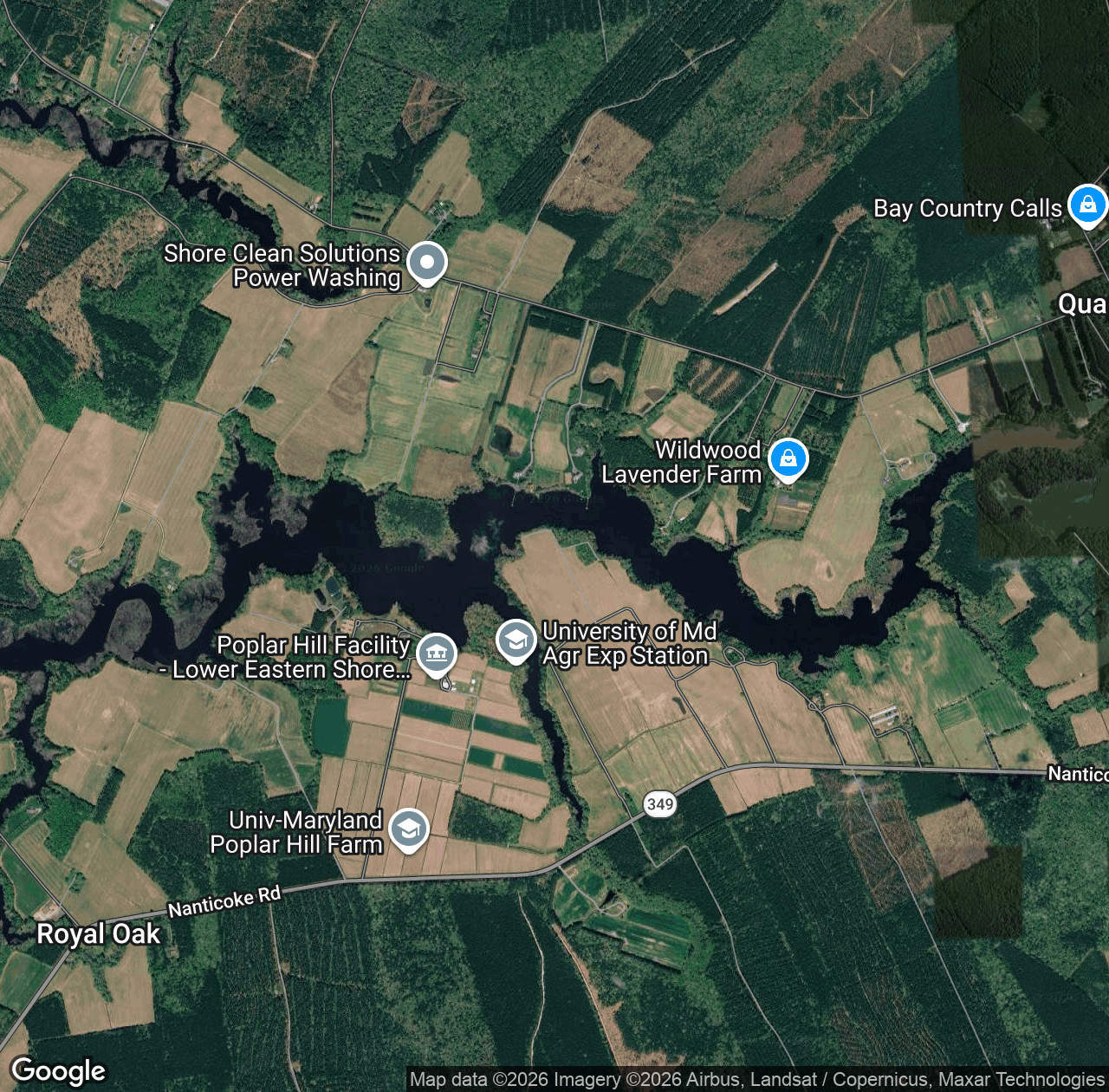 Quantico Creek