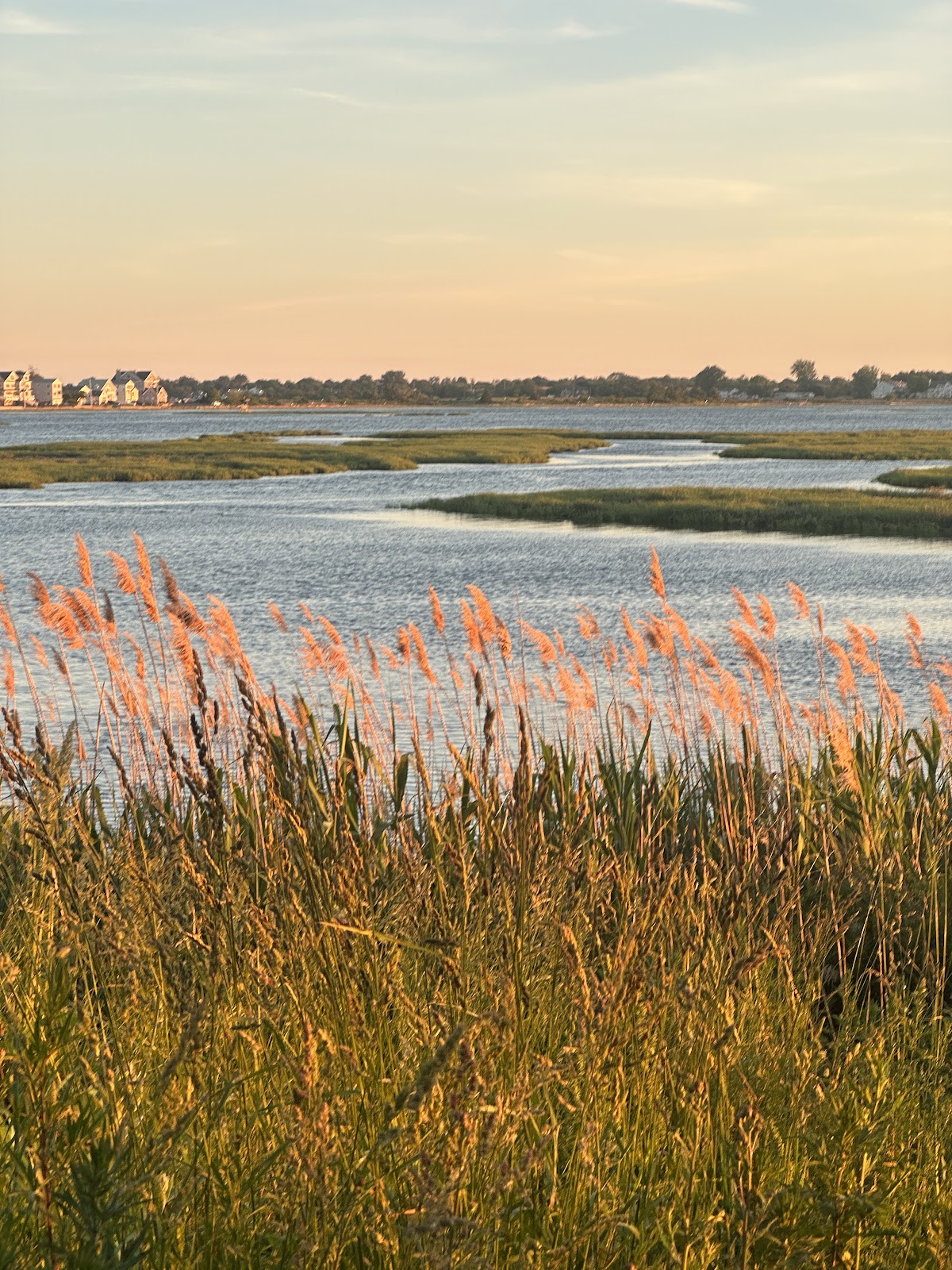 Charles E Wheeler Wildlife Area