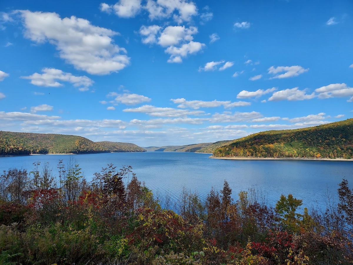 Allegheny Reservoir
