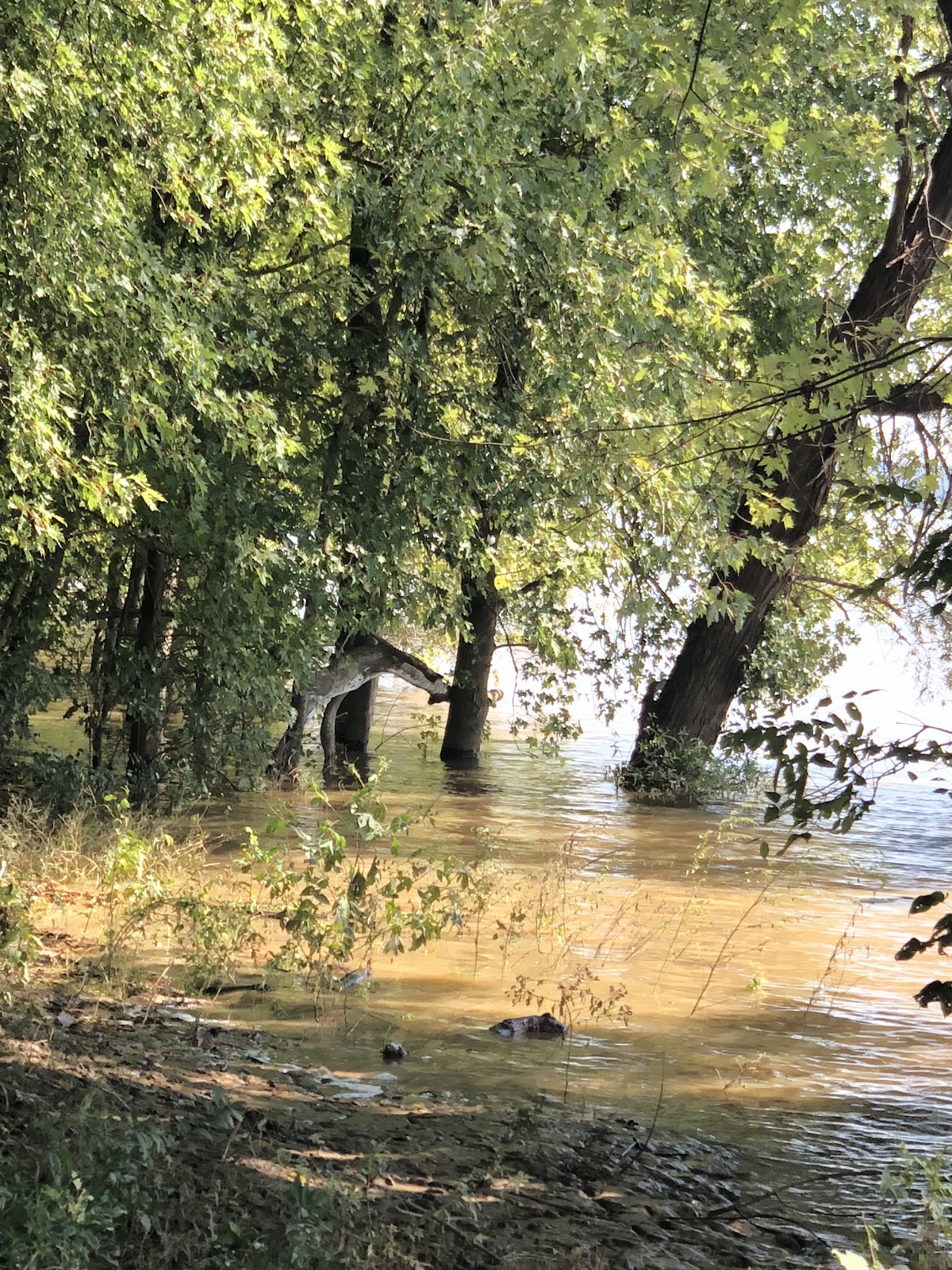 Oil Creek