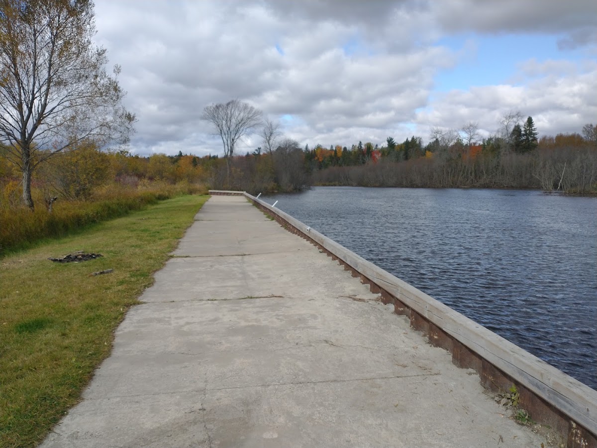 Carp River