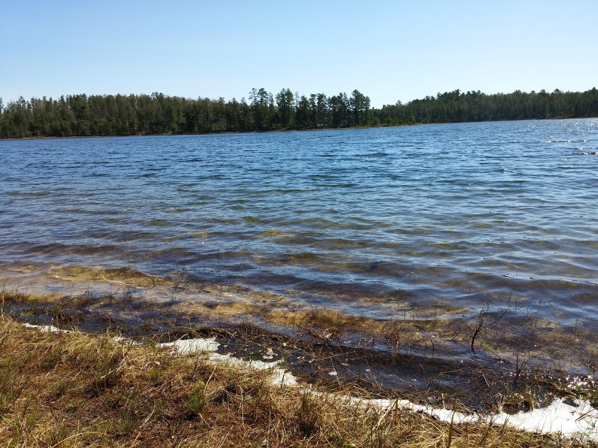 Jackpine Lake