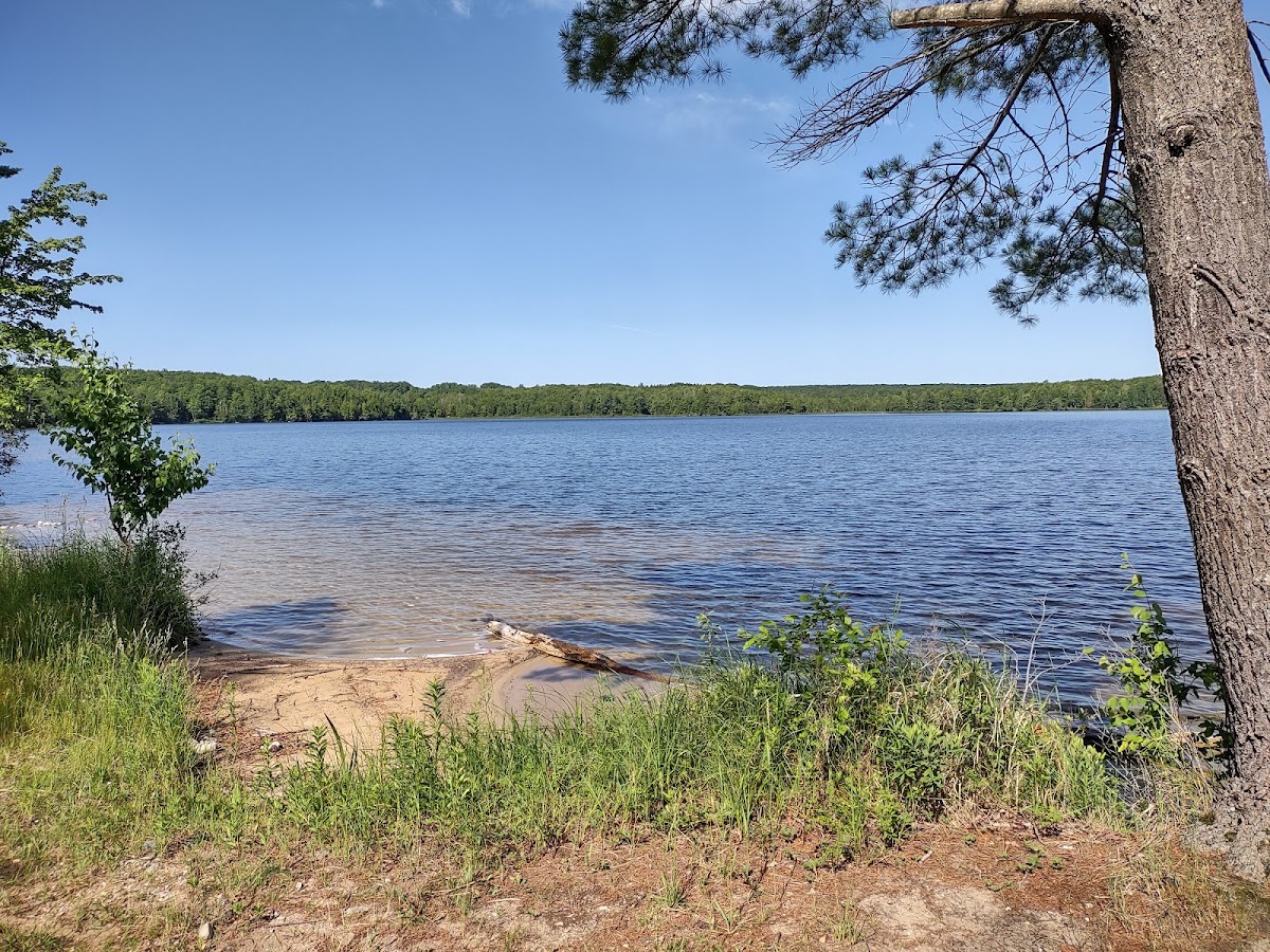 Triangle Lake