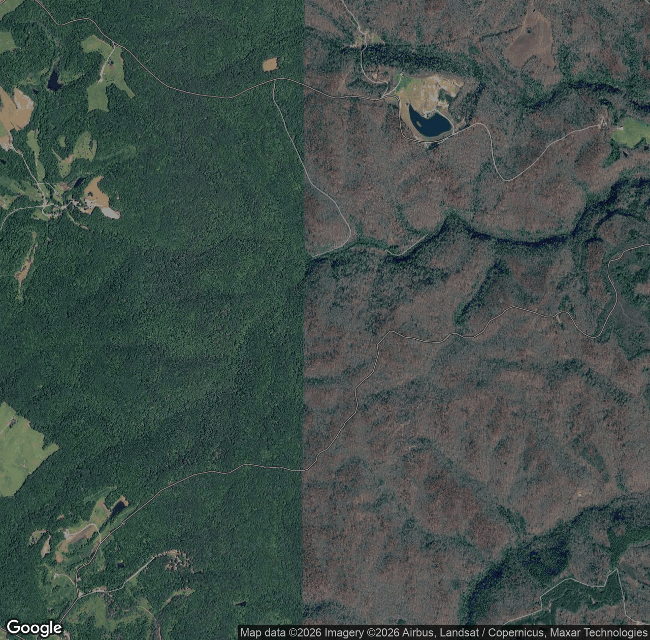 Little Wild Dog Creek
