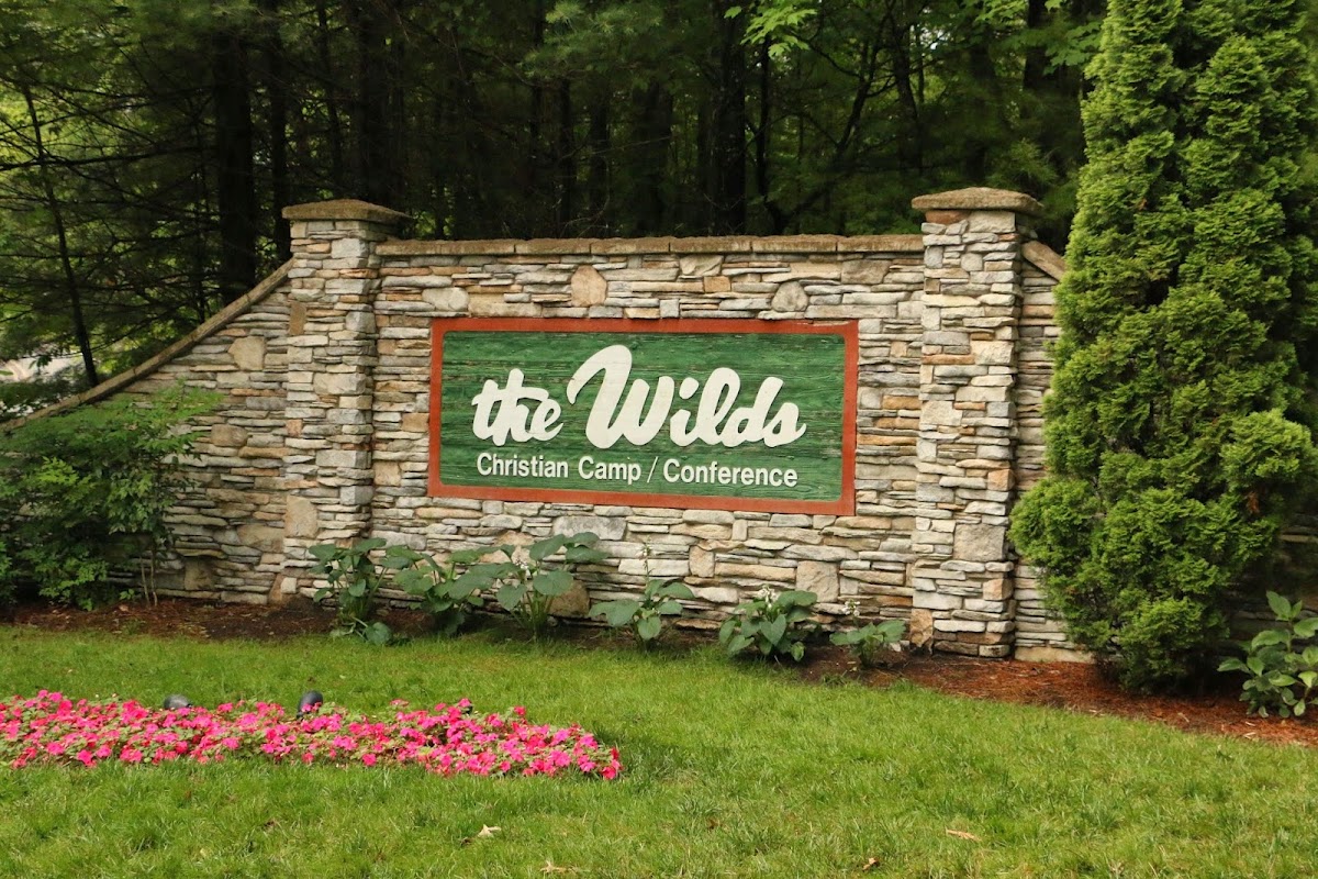 The Wilds