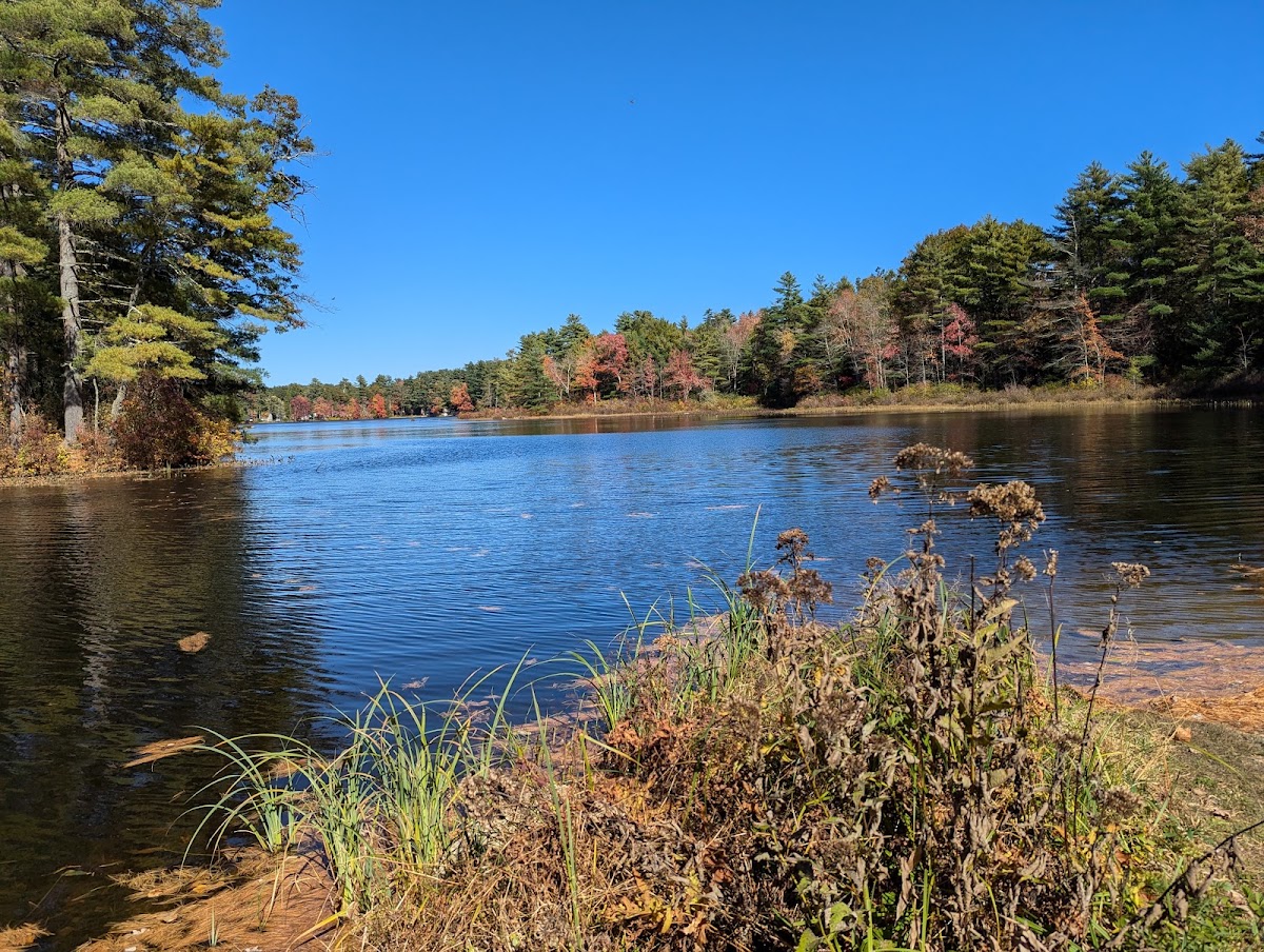 State Line Pond