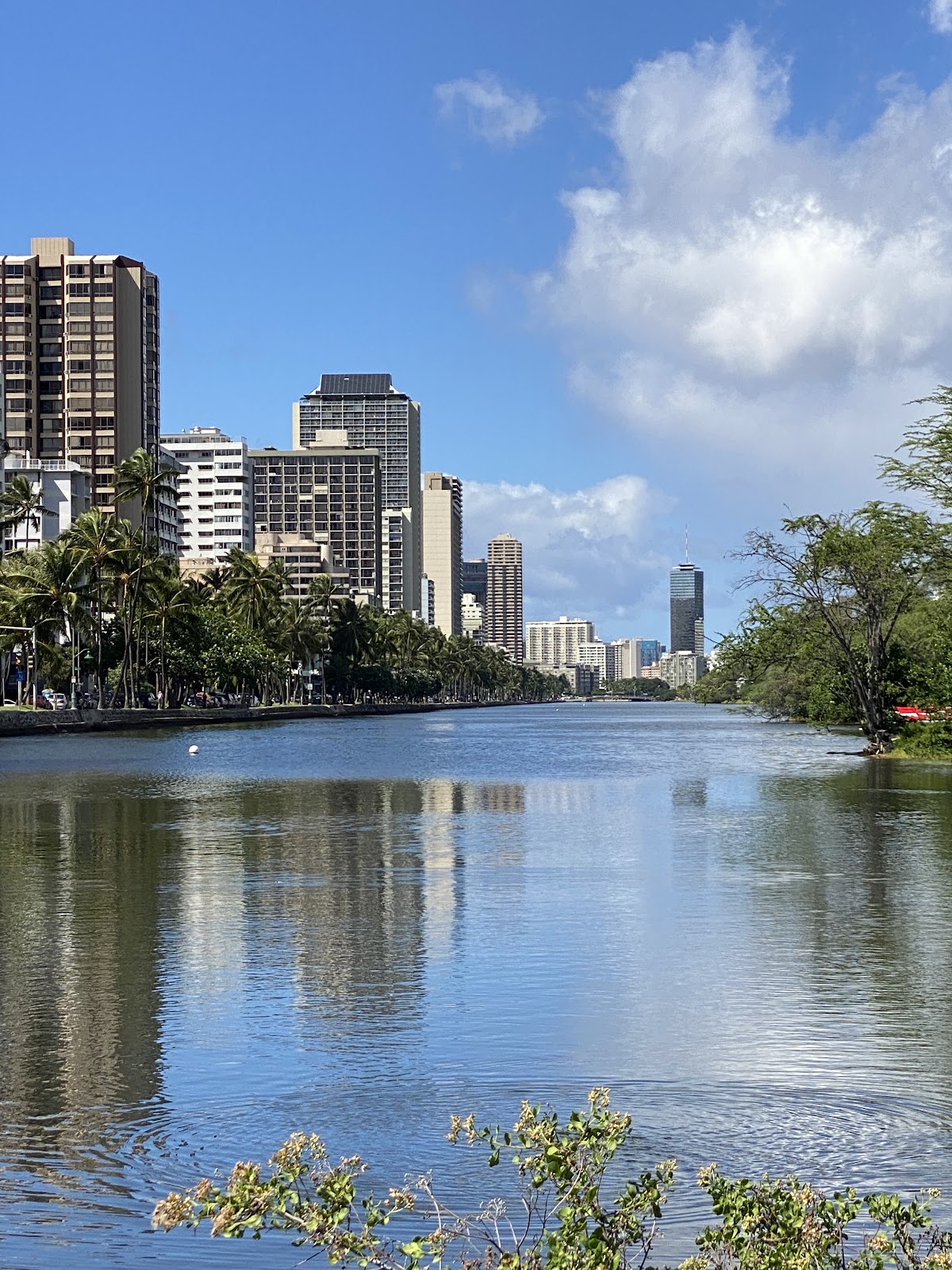Ala Wai Canal