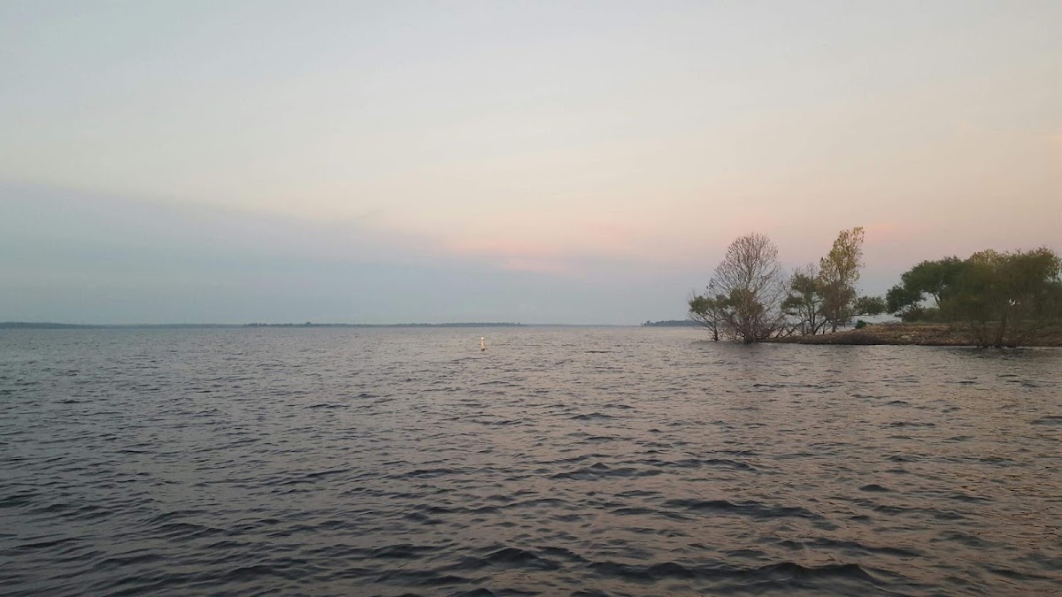 Ayish Bayou