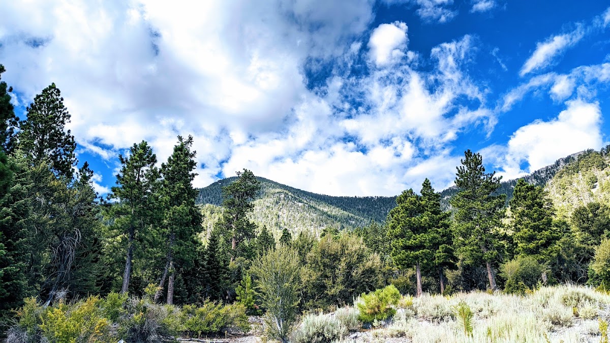 Bonanza Trail