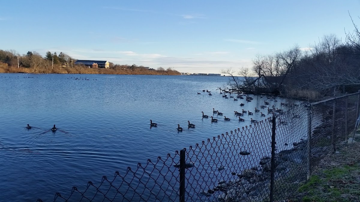 Green End Pond