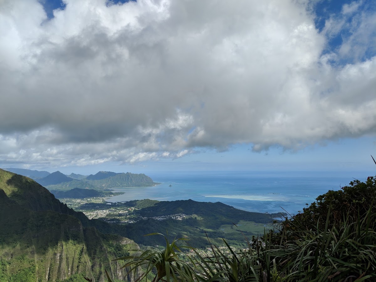 Kaneohe Forest Reserve