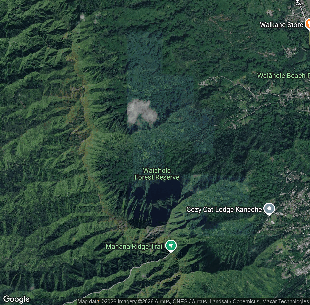 Waiahole Forest Reserve