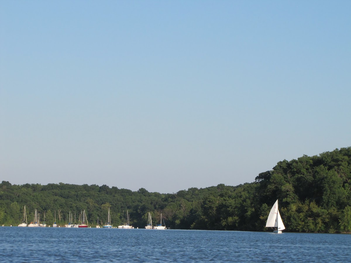 Lake Jacomo