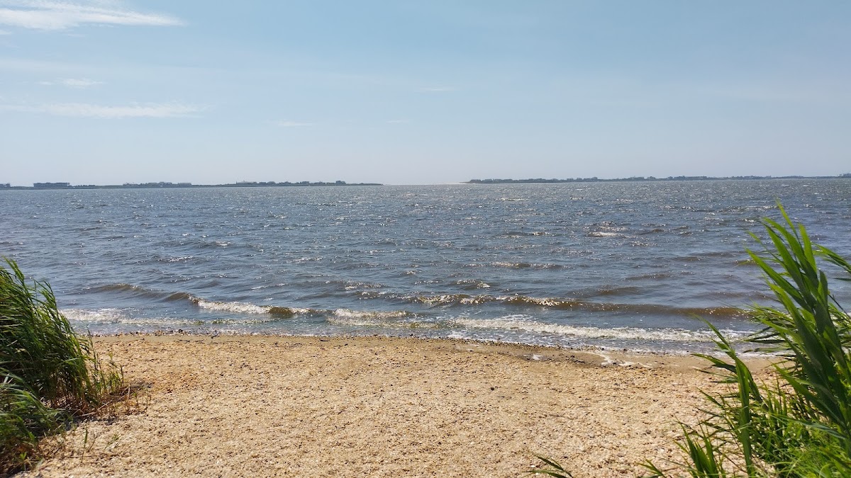 Mecox Bay