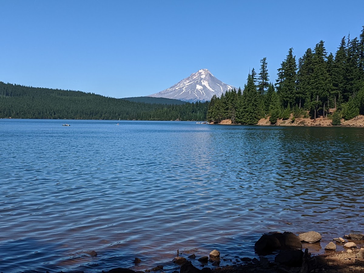 Timothy Lake
