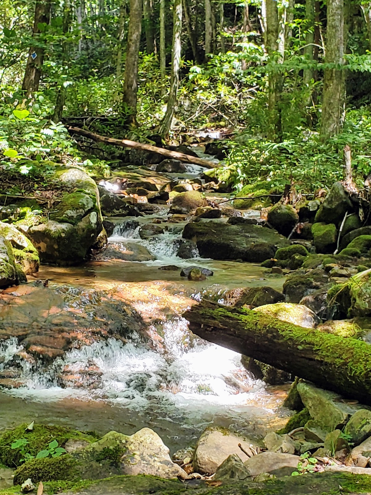 Gentry Creek