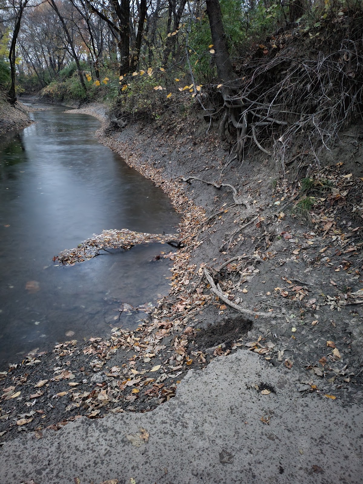Washington Creek